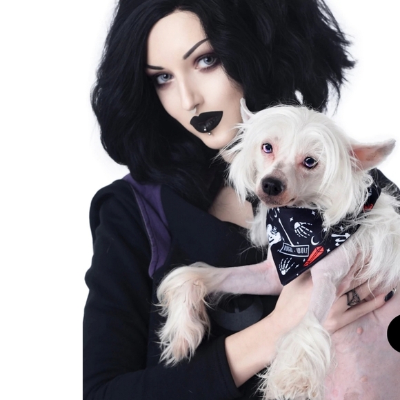 Rogue + Wolf ✦ “You Can’t Dig With Us” Reversible Pet Bandana ✦ Bones + Crystals - Picture 3 of 16